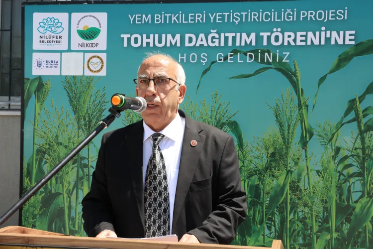 Nilüfer’de Üreticilere Sorgum Tohumu Desteği