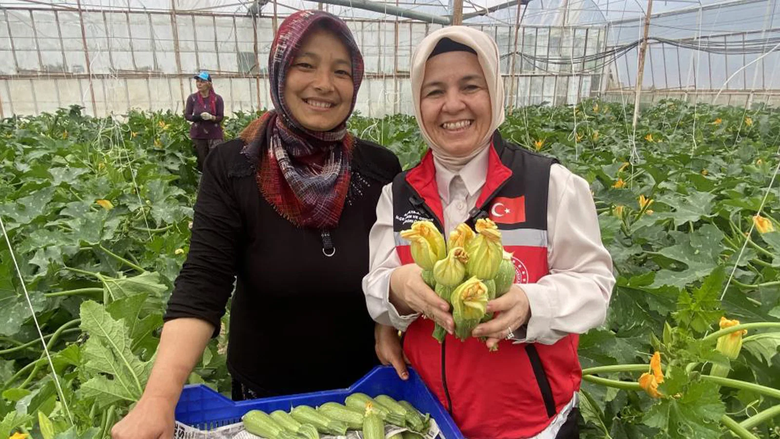 Nurcan Kazıkçı: Kadın Çiftçiden İhracatta Başarı