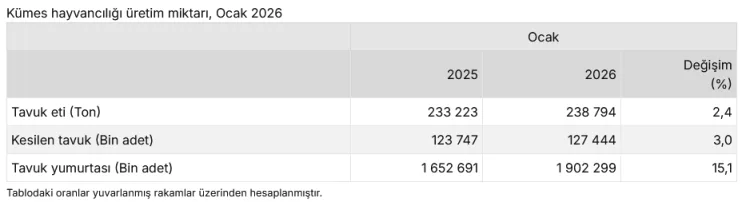 Ocak’ta Tavuk Yumurtası Üretimi Yüzde 15,1 Arttı