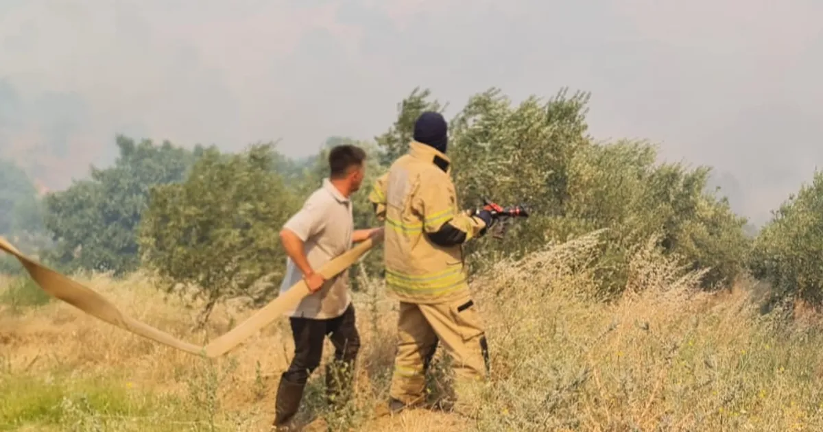 Ödemiş’te Yangınla Mücadele Devam Ediyor!