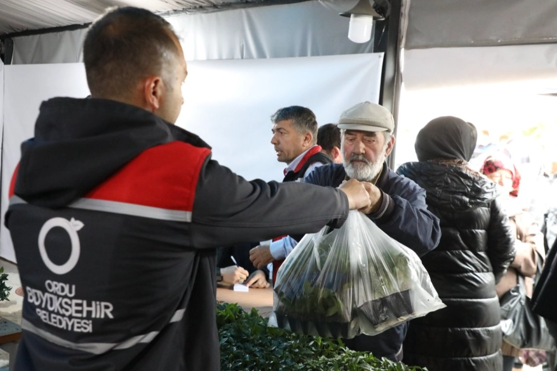 Ordu’da 300 Bin Yazlık Fide Dağıtımı Başladı!