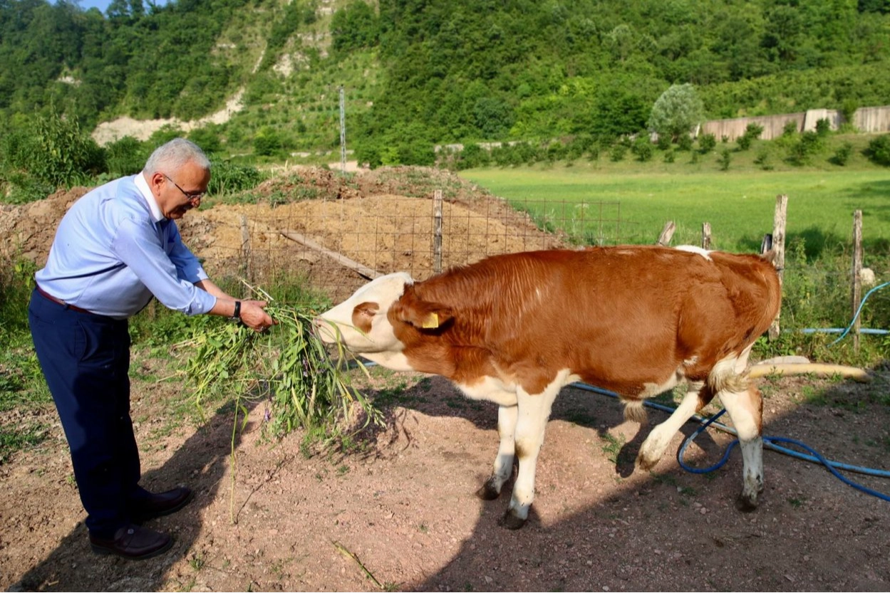 Ordu’da Besicilere 5’li Yem Desteği Sevinci!