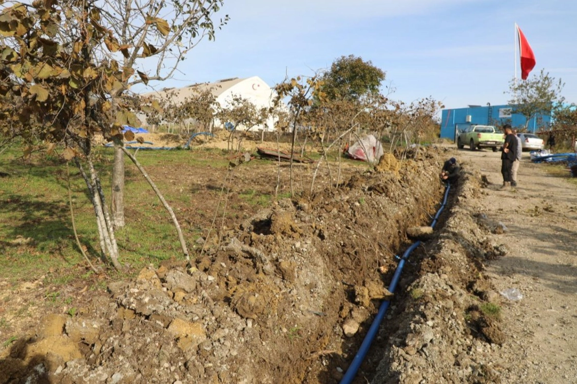 Ordu’da Fındıkta Verim Artışı İçin Damlama Sistemi