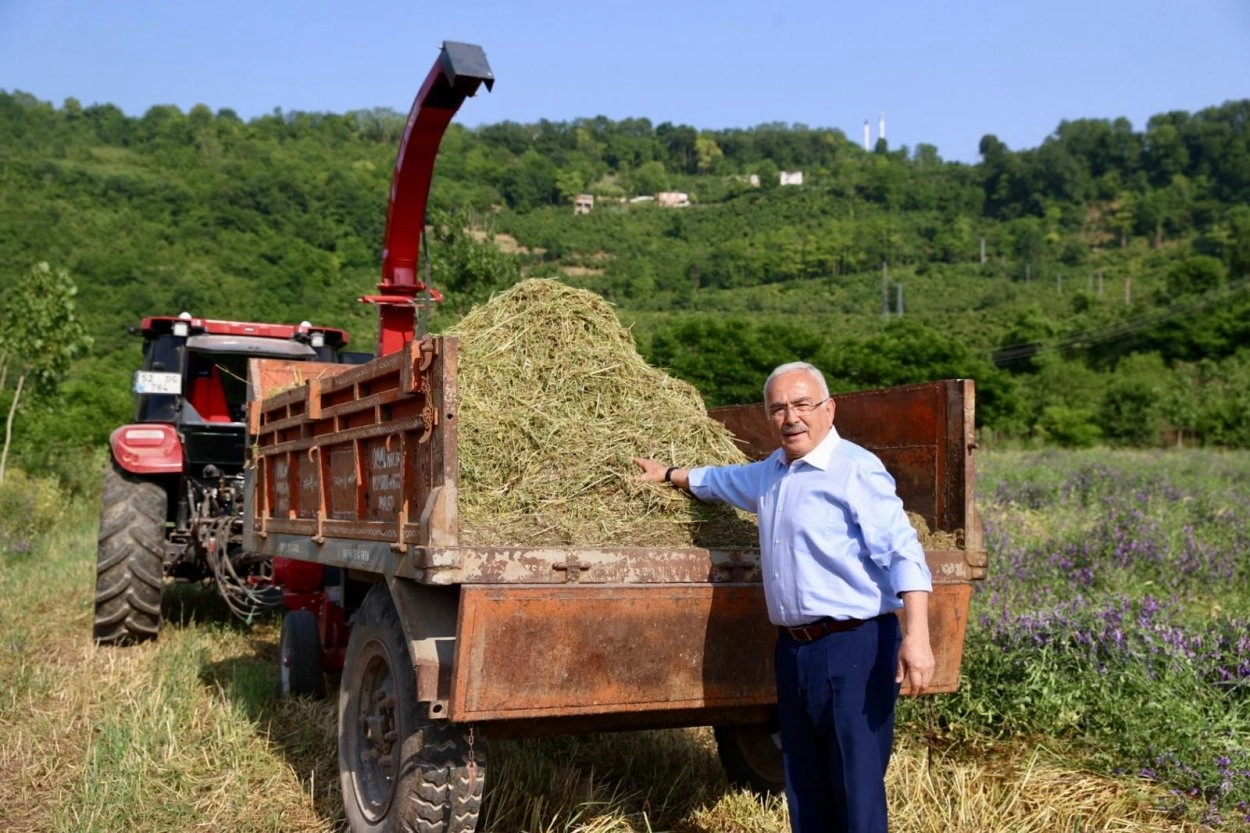 Ordu’da Tarımda Reform: 34 Bin Dekar Yenilendi