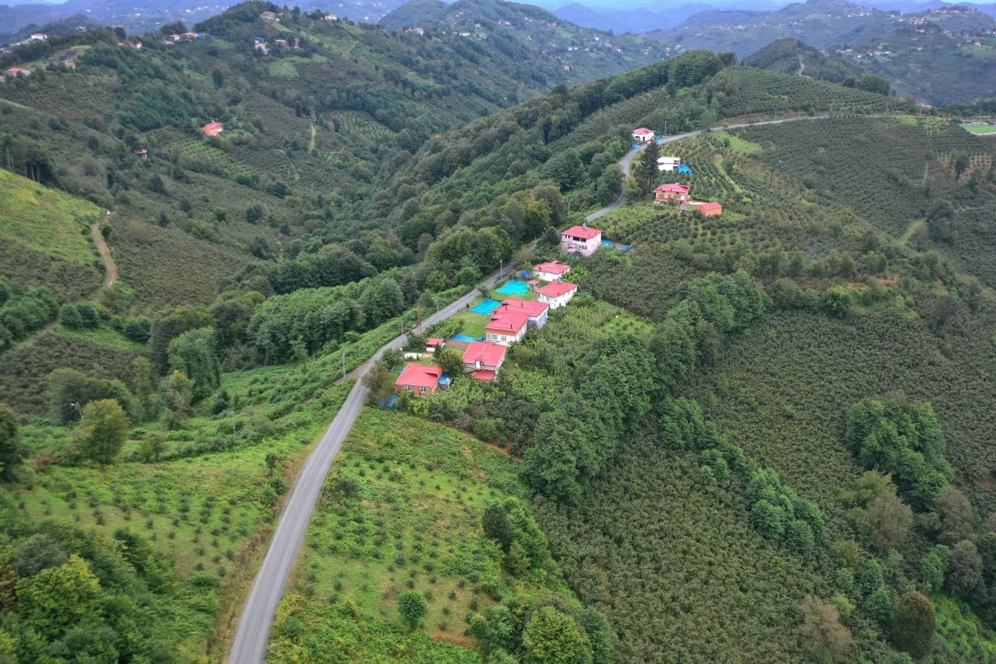 Ordu’da Ulaşım Konforu Artıyor: Yeni Asfalt Yolu!