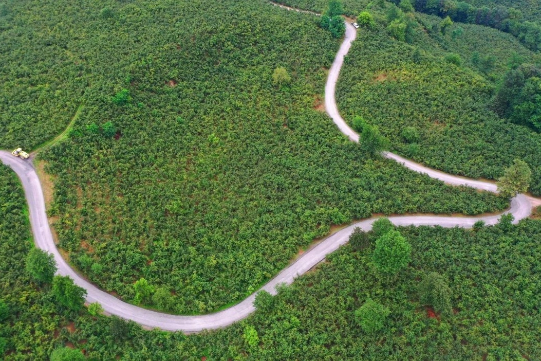 Ordu’da Ulubey’e 7 km Asfalt Yolu Müjdesi!