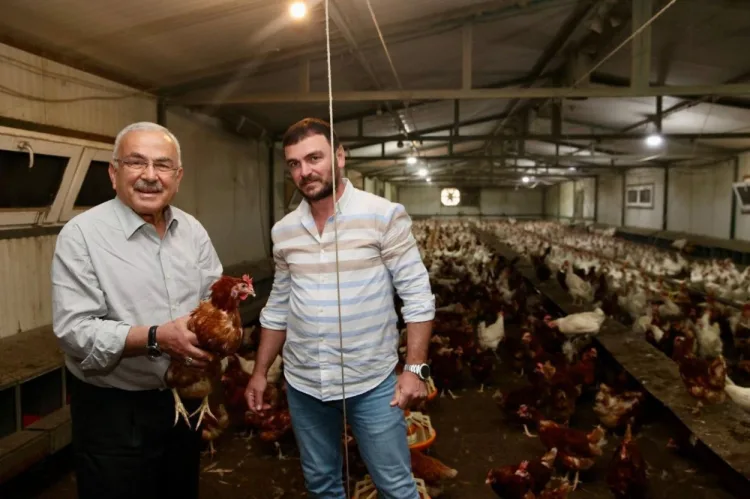 Ordu Yumurta Sektörü Canlanıyor: Hedef 100 Milyon!