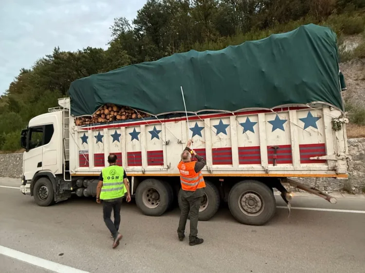 Orman Kaçakçılığına Karşı Bursa’da Denetim!