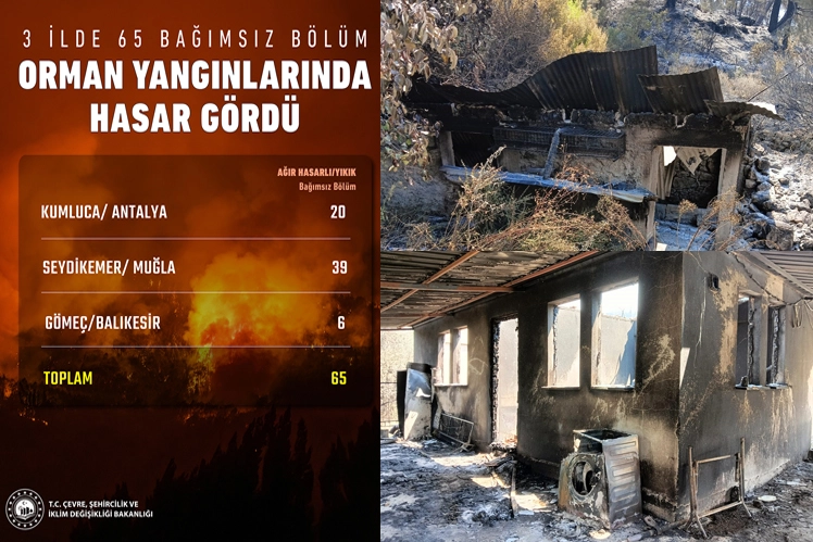 Orman Yangınları: 65 Yapı Yıkıldı, Hasar Büyüyor