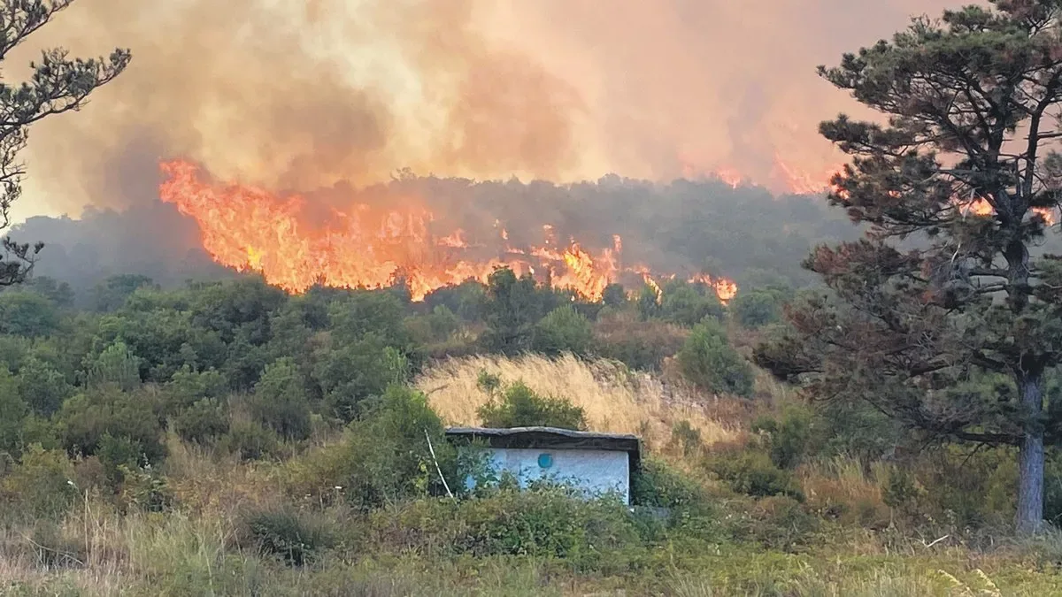 Orman Yangınları Kontrol Altında, Mücadele Devam Ediyor