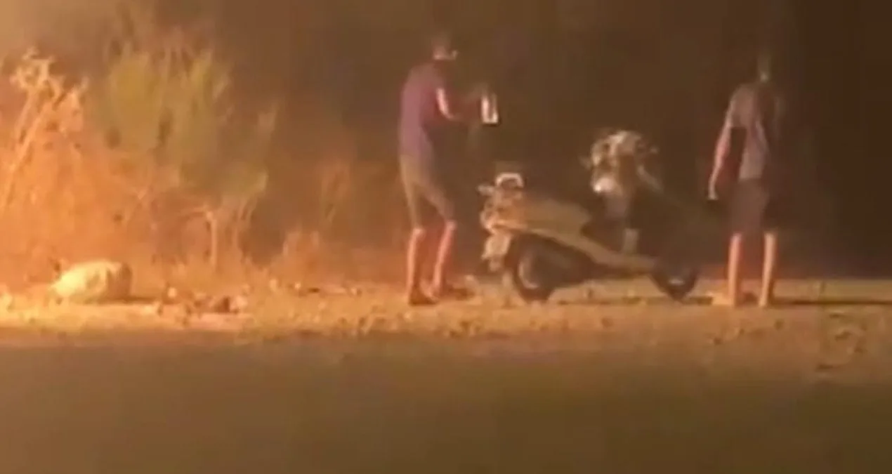 Ormanda Yangın: Şüpheliler Motosikletle Kaçtı!