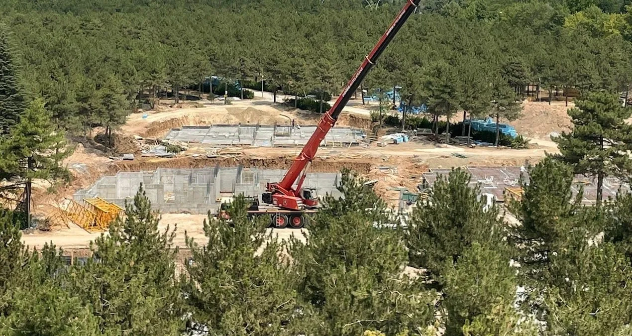 Ormanları Koruması Gereken Kurumdan Ağaç Katliamı!