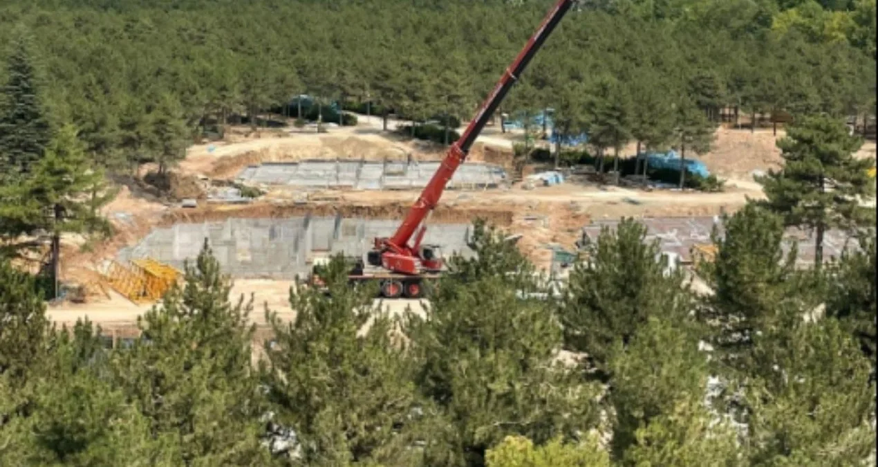 Ormanları Koruyan Kurum, Doğayı Katlediyor!