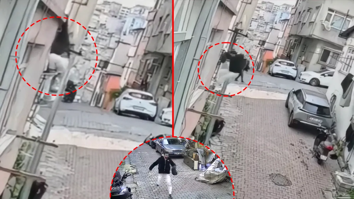 Örümcek Adam Gibi Tırmandı, Hırsızlık Yaptı!