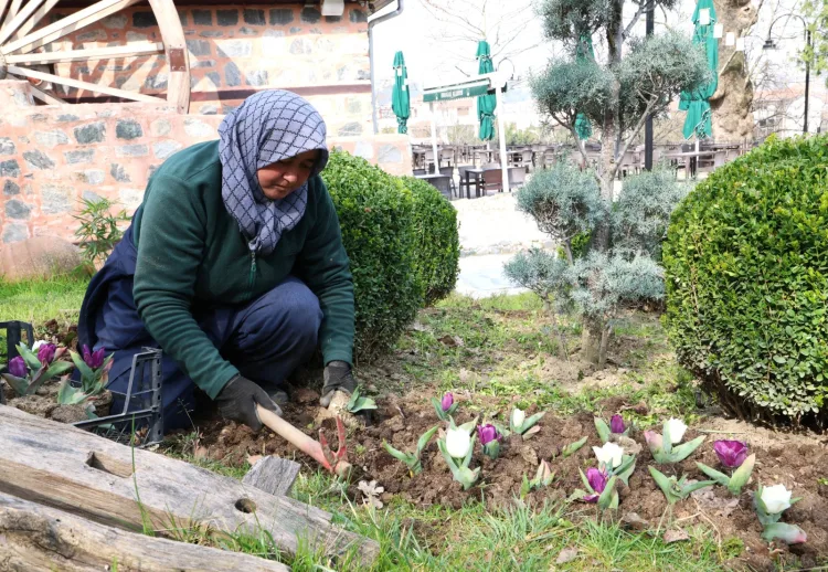 Osmangazi’de Bahar Çiçekleriyle Renk Cümbüşü!