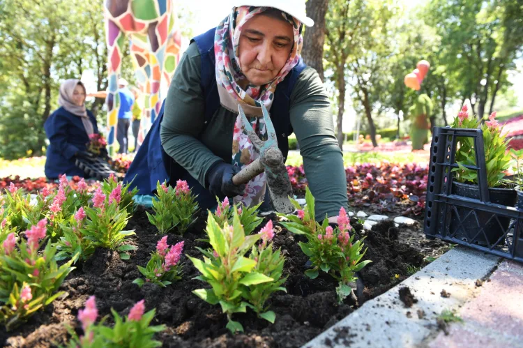 Osmangazi Yazın 262 Bin Çiçekle Renklenecek!