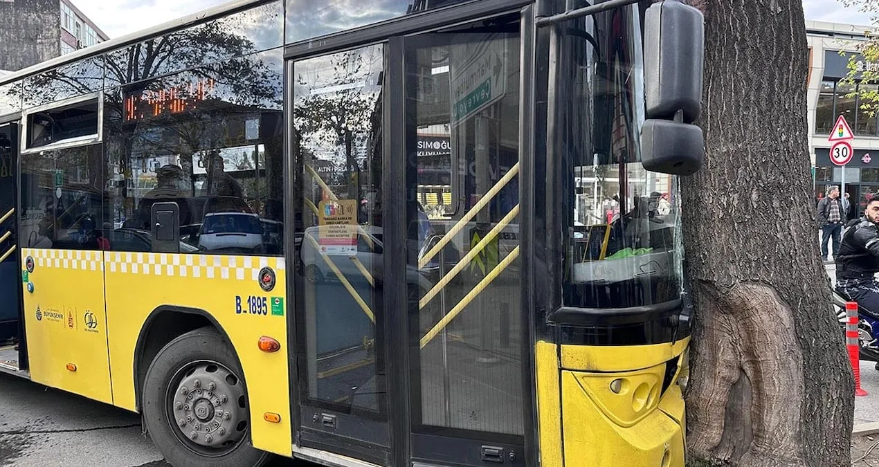 Otobüs Ağaçla Çarpıştı, Yolcu Yaralandı!