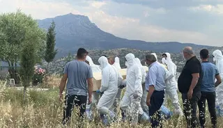 Bir ısırıkla başı döndü, iştahtan kesildi... 15 gün sonra hayatını kaybetti