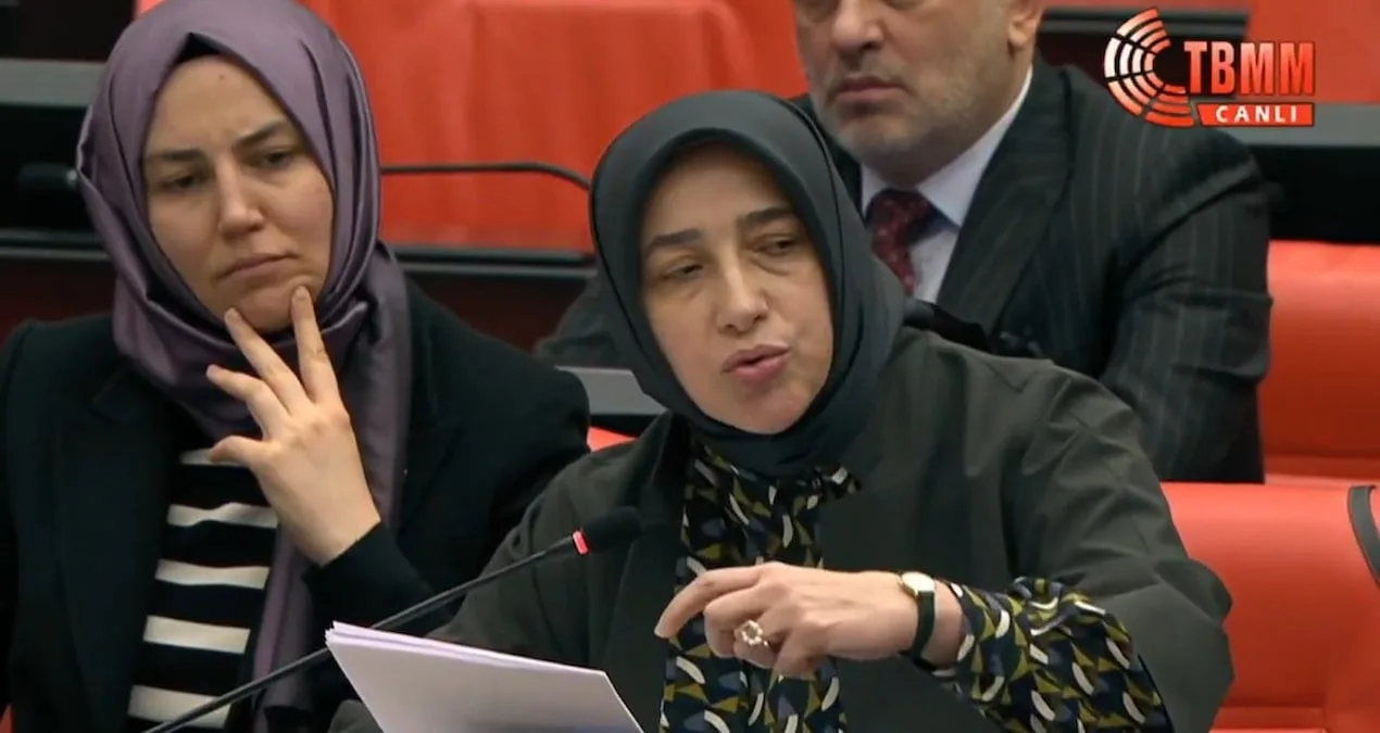 Özlem Zengin’den Emekli Maaşına Sert Eleştiri!