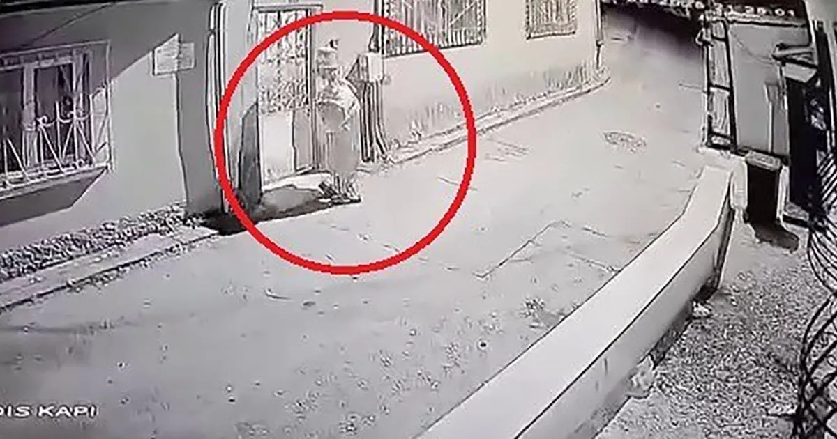 Palyaço Şakası Panik Yarattı: Bıçak Yerine Kornası