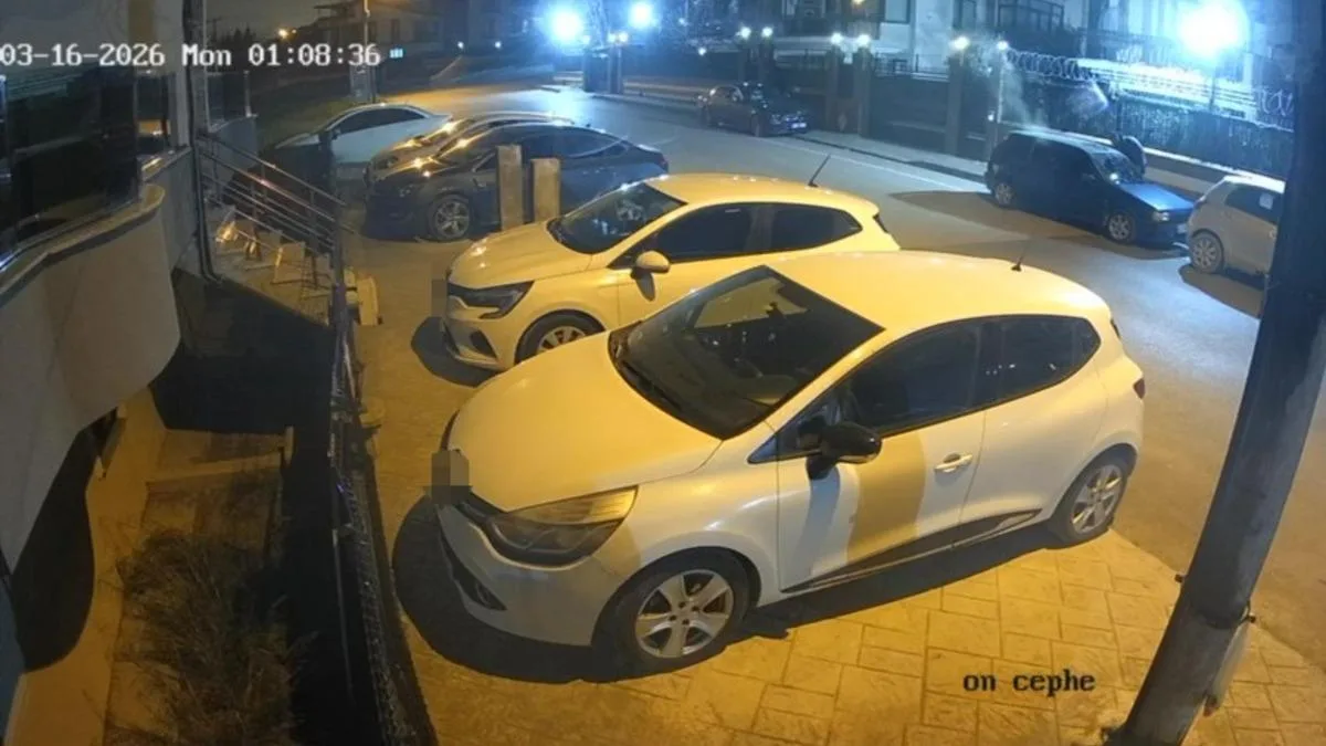 Park Halindeki Araç Alev Alev Yandı!