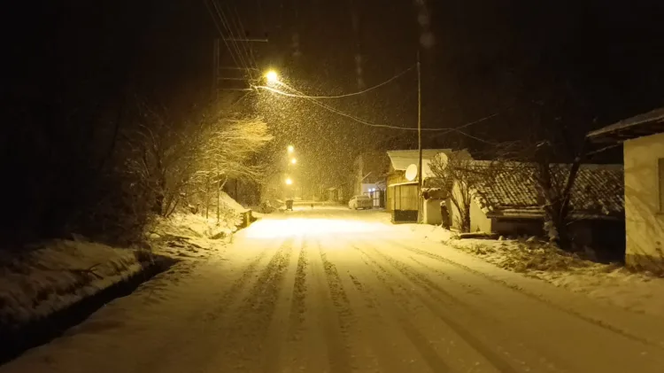 Kar manzarası