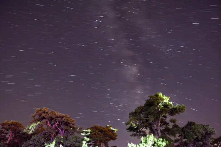Perseid Meteor Yağmuru ile Yıldızlar Altında Şenlik