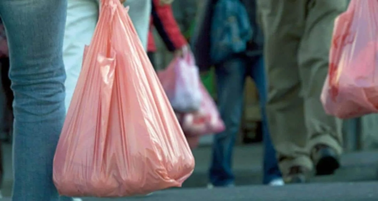 Plastik Poşetlere Yüzde 100 Zam: 1 TL Olacak!