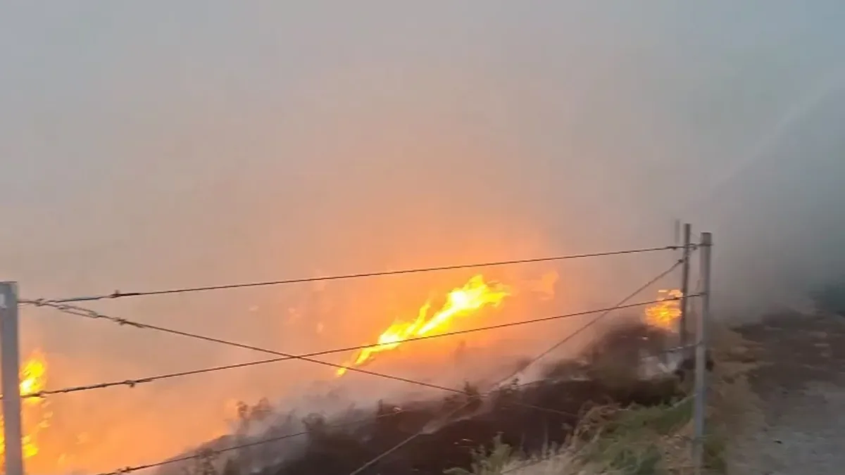 Polatlı’da Yangın Çıkaran Şahıs Tutuklandı!