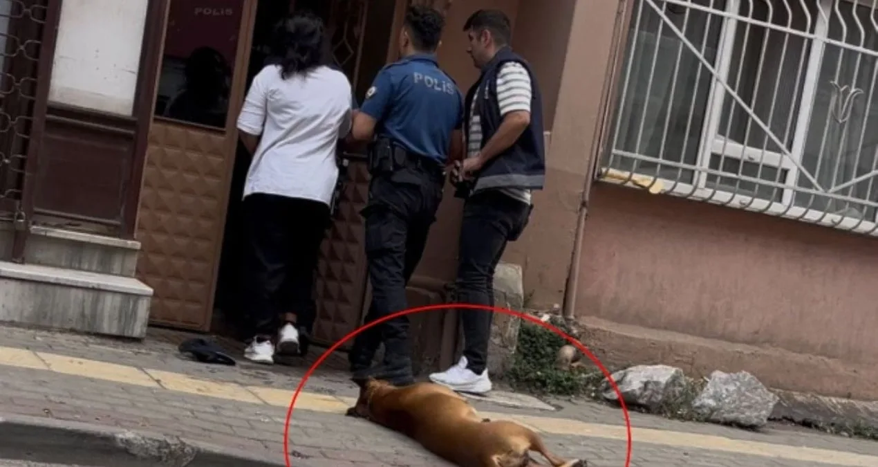 Polis Evinin Kapısında Pitbull Saldırısına Uğradı!