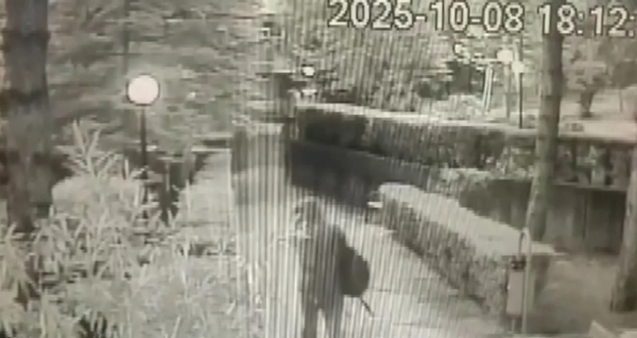 Polis Kılığındaki Dolandırıcılar Yakalandı!