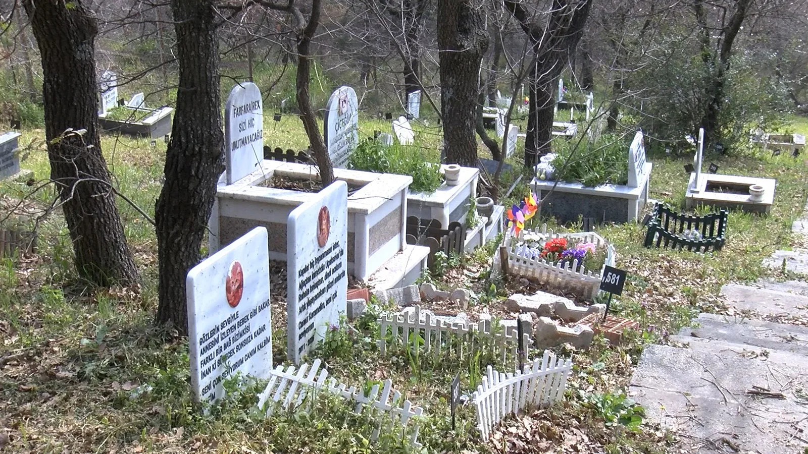 Ramazan Bayramı’nda Evcil Hayvan Mezarlığı Ziyareti