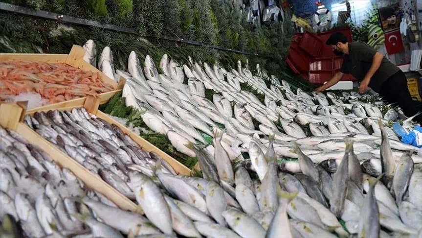 Balık Tezgahları