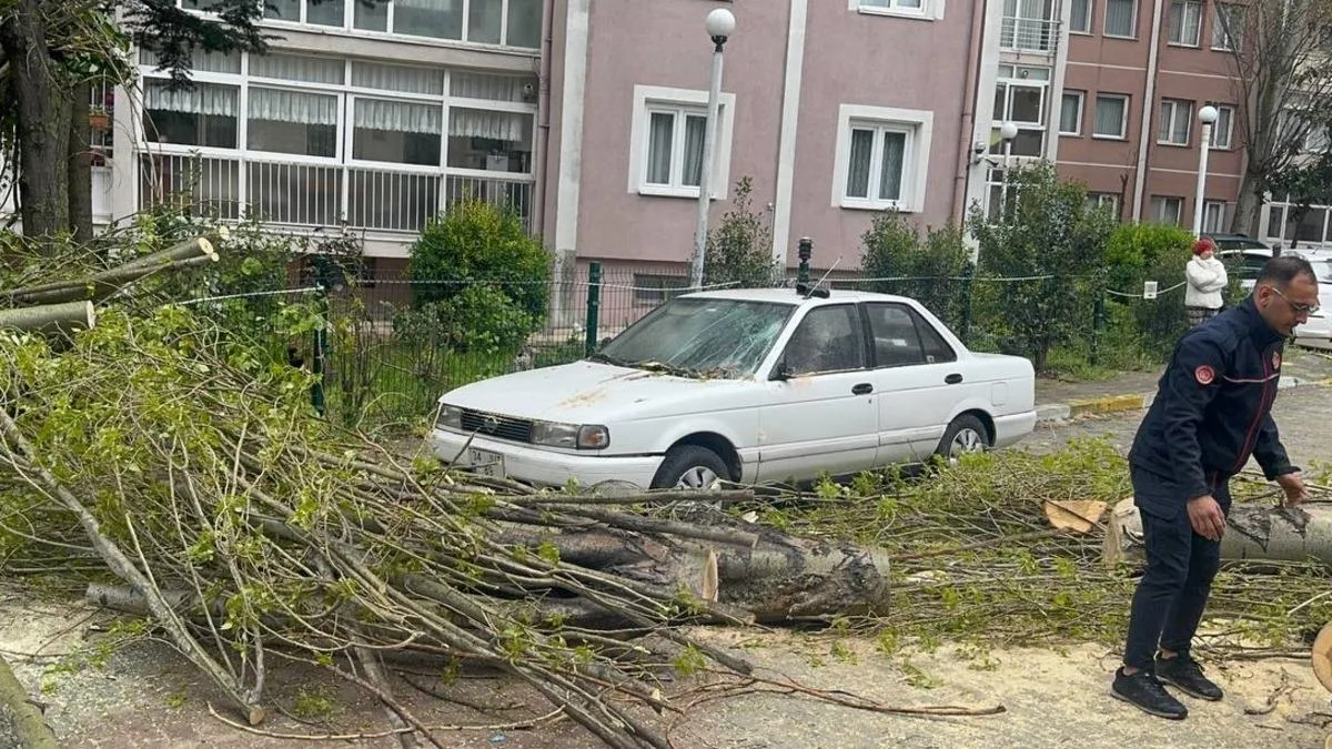 Rüzgar Ağaç Devrildi, Araç Zarar Gördü!