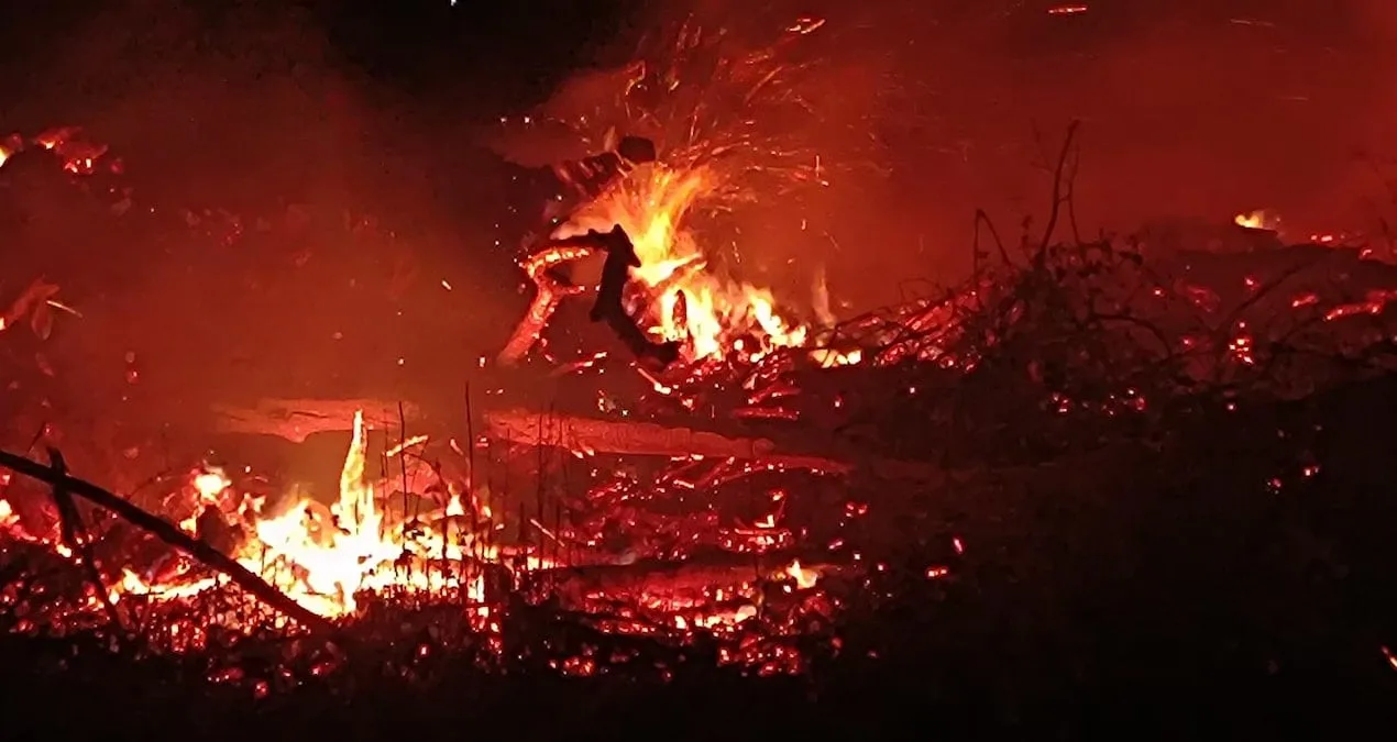 Rüzgar Yangını Büyüttü, İtfaiye Zor Anlar Yaşadı