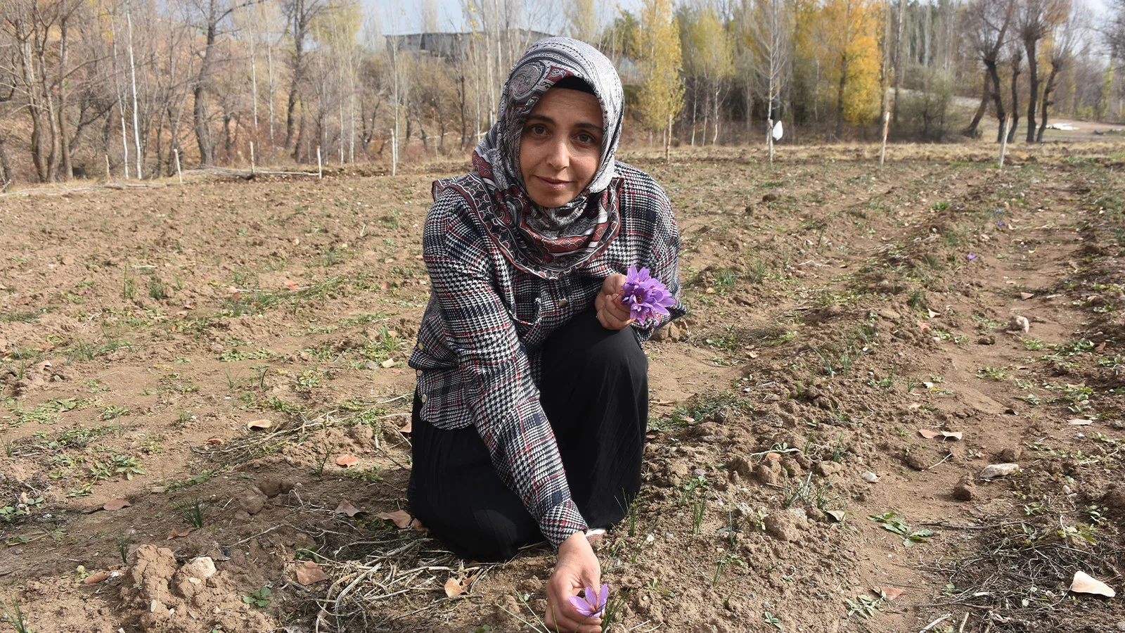 Safranla Yeni Bir Hayat: Neziha Çam’ın Hikayesi