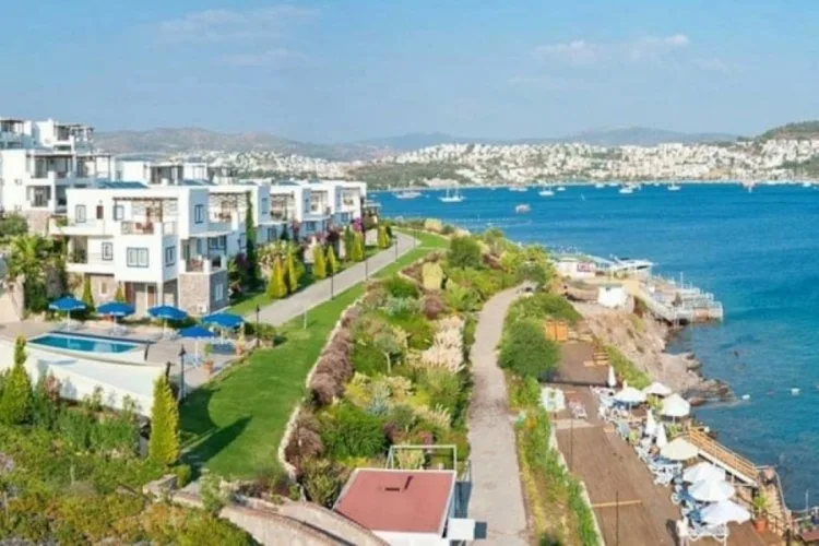 Sahil Yaşamı: Uzun Ömrün Sırrı mı?