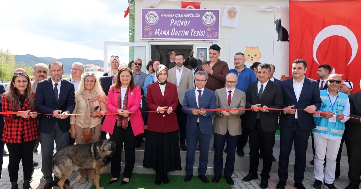 Sahipsiz Hayvanlar için Mama Tesisi Açıldı!