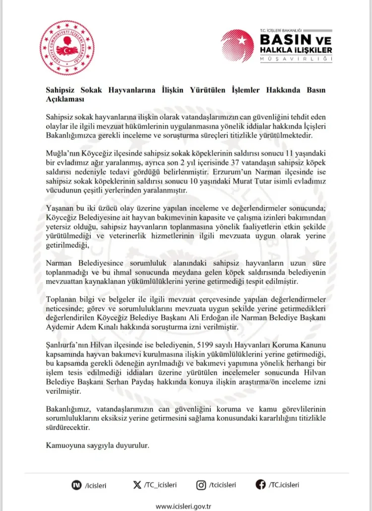 Sahipsiz Köpek Saldırıları: İki Belediye Başkanı Soruşturma Altında