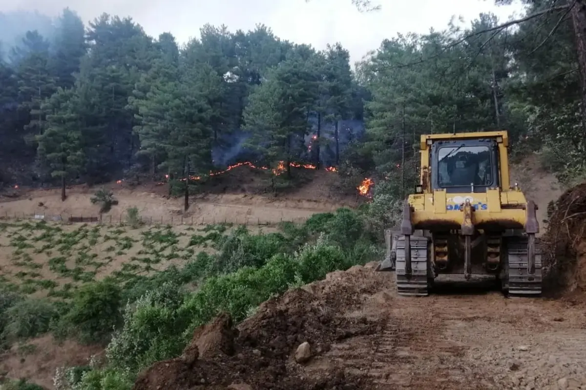 Şakalaşırken orman yangını çıkarmıştı! Dudak uçuklatan ceza: 43 milyon 752 bin lira... 6