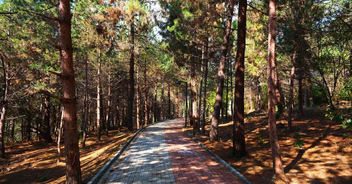 Sakarya’da Bahar Koşusu Huzur Koridoru’nda!