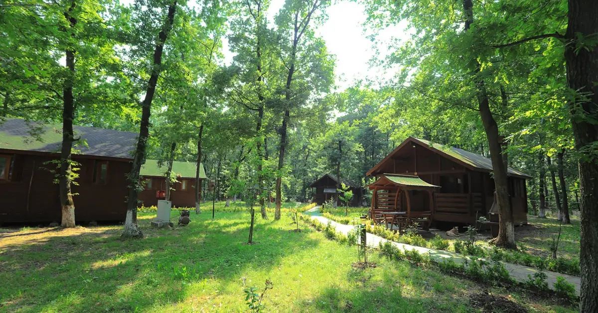 Sakarya’da Bungalovlarla Doğayla Buluşun!