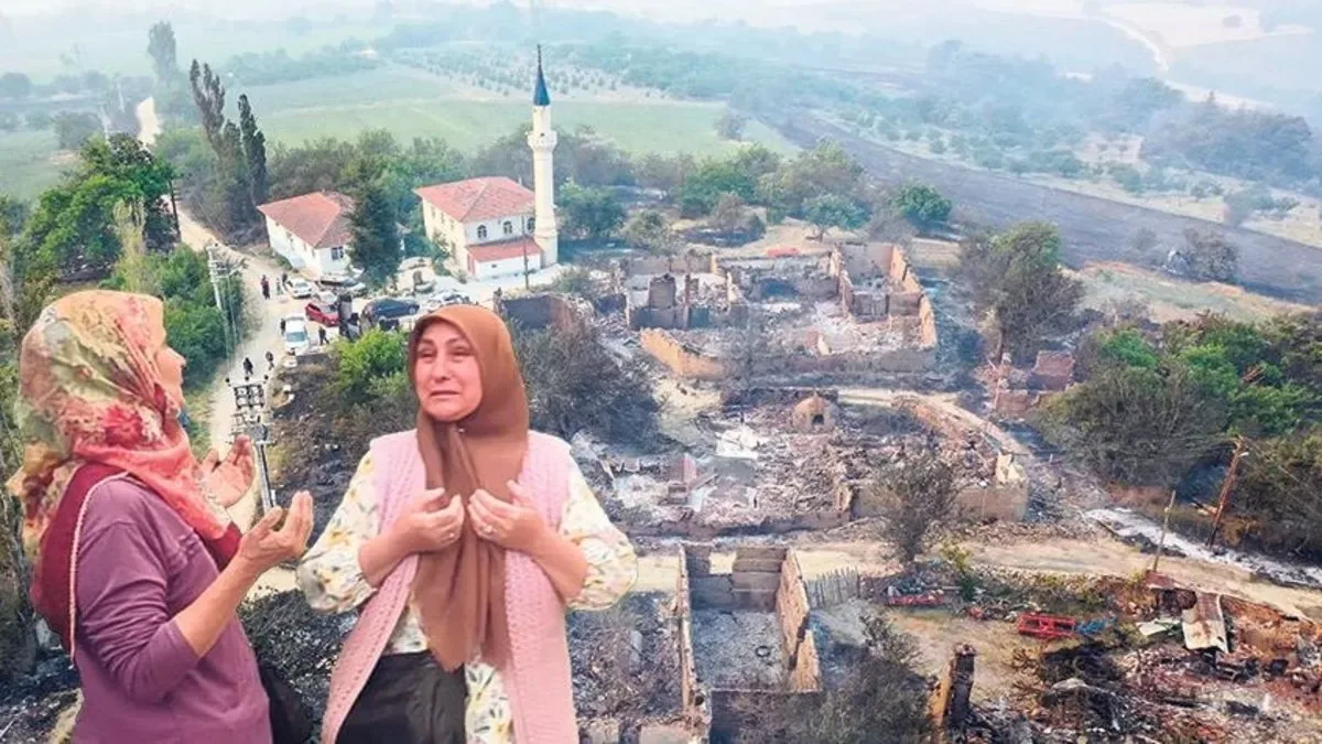 Sakarya’da Orman Yangını, 10 Ev Kül Oldu!