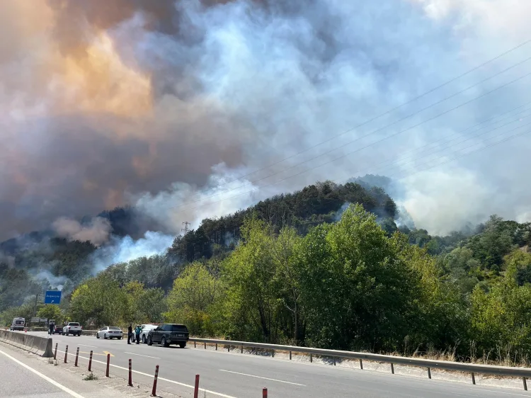 Sakarya’da Yangınlarla Savaşta 4 Günlük Mücadele