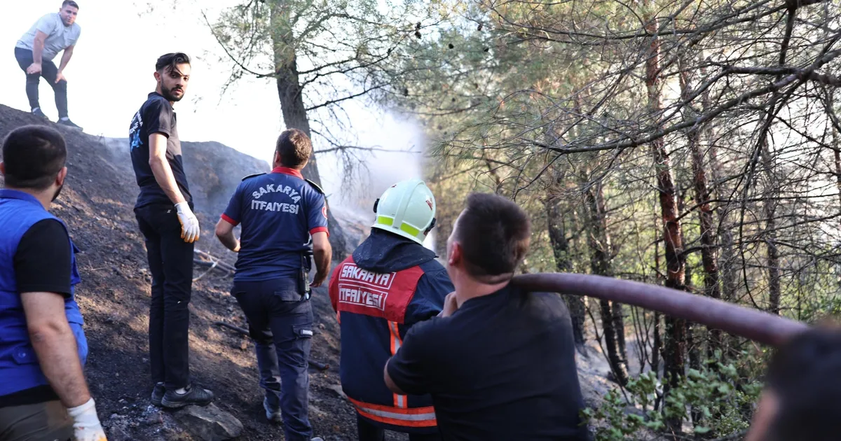 Sakarya Orman Yangını Kontrol Altında: 3 Gözaltı