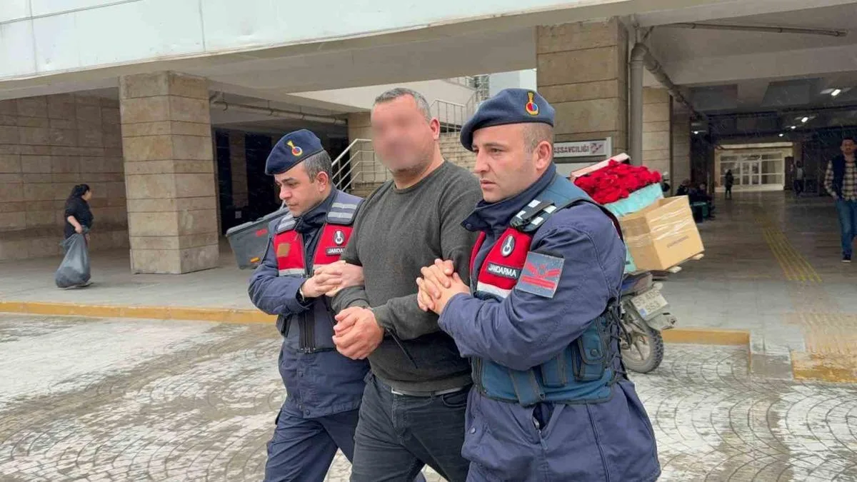 Samsun’da Büyükbaş Hayvan Dolandırıcılığı!