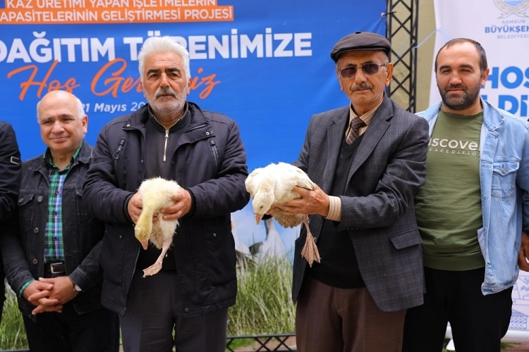 Samsun’dan Kaz Yetiştiricilerine Büyük Destek!
