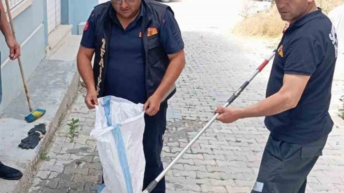Sandıklı’da Yılan Panic: İtfaiye Hızla Müdahale Etti!