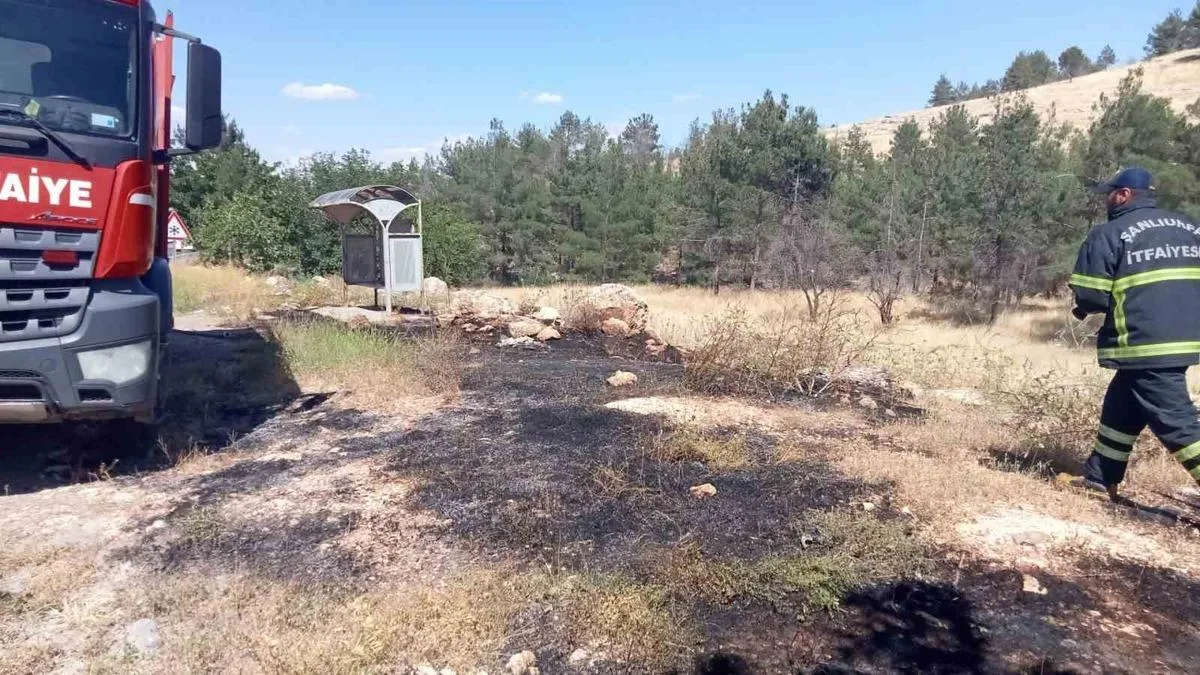 Şanlıurfa’da Orman Yangını Kontrol Altında!