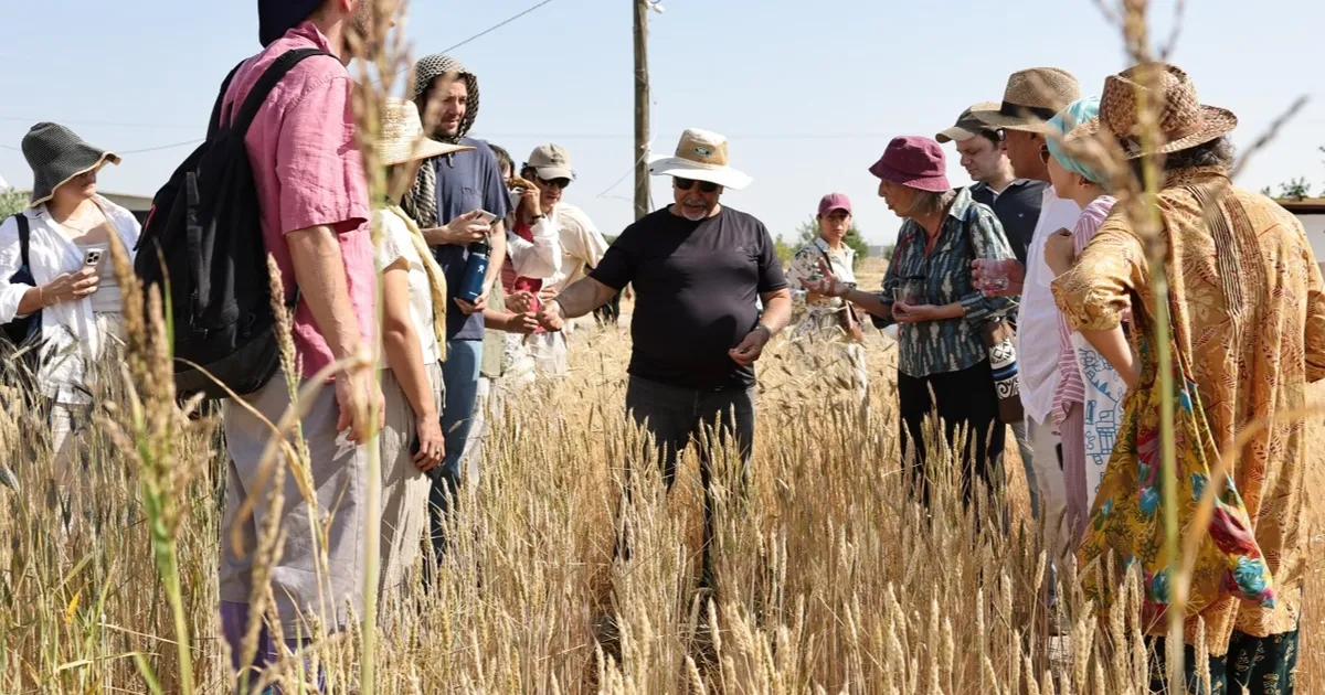 Şanlıurfa’da Slow Wheat 2025 Festivali Coşkusu!